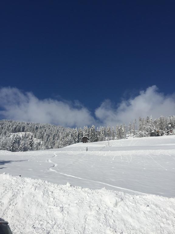 Ferienwohnungen Unterleegut Mühlbach am Hochkönig 外观 照片