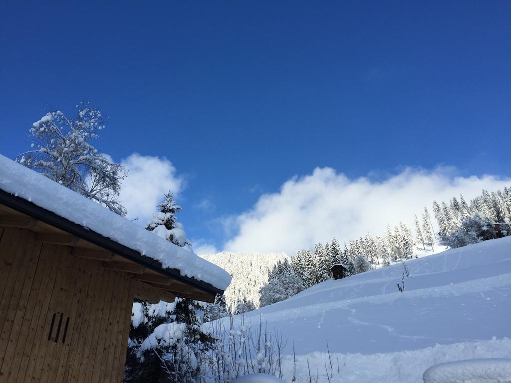 Ferienwohnungen Unterleegut Mühlbach am Hochkönig 外观 照片