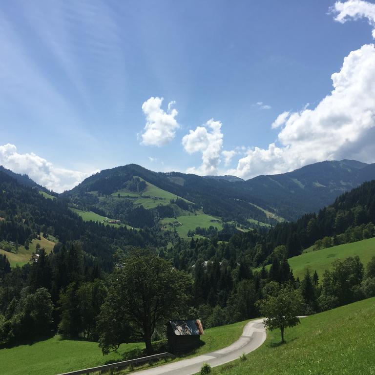 Ferienwohnungen Unterleegut Mühlbach am Hochkönig 外观 照片