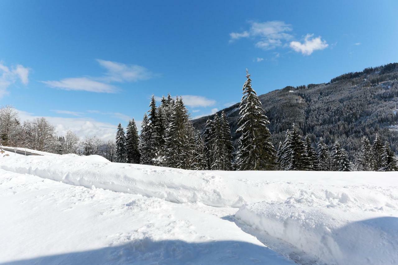 Ferienwohnungen Unterleegut Mühlbach am Hochkönig 外观 照片